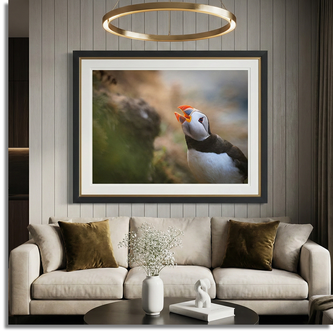 lookbook image shop_this_look_AVdw3f