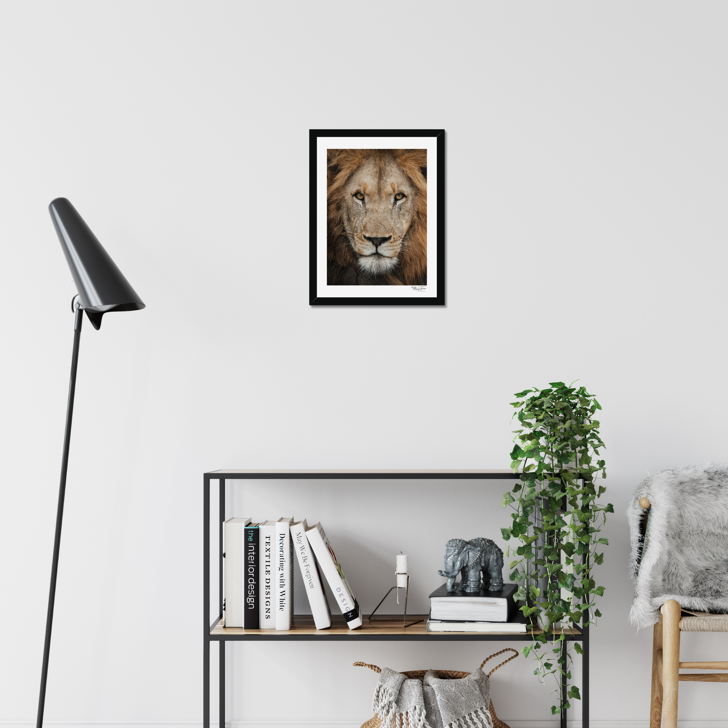 The King’s Gaze (White Border)