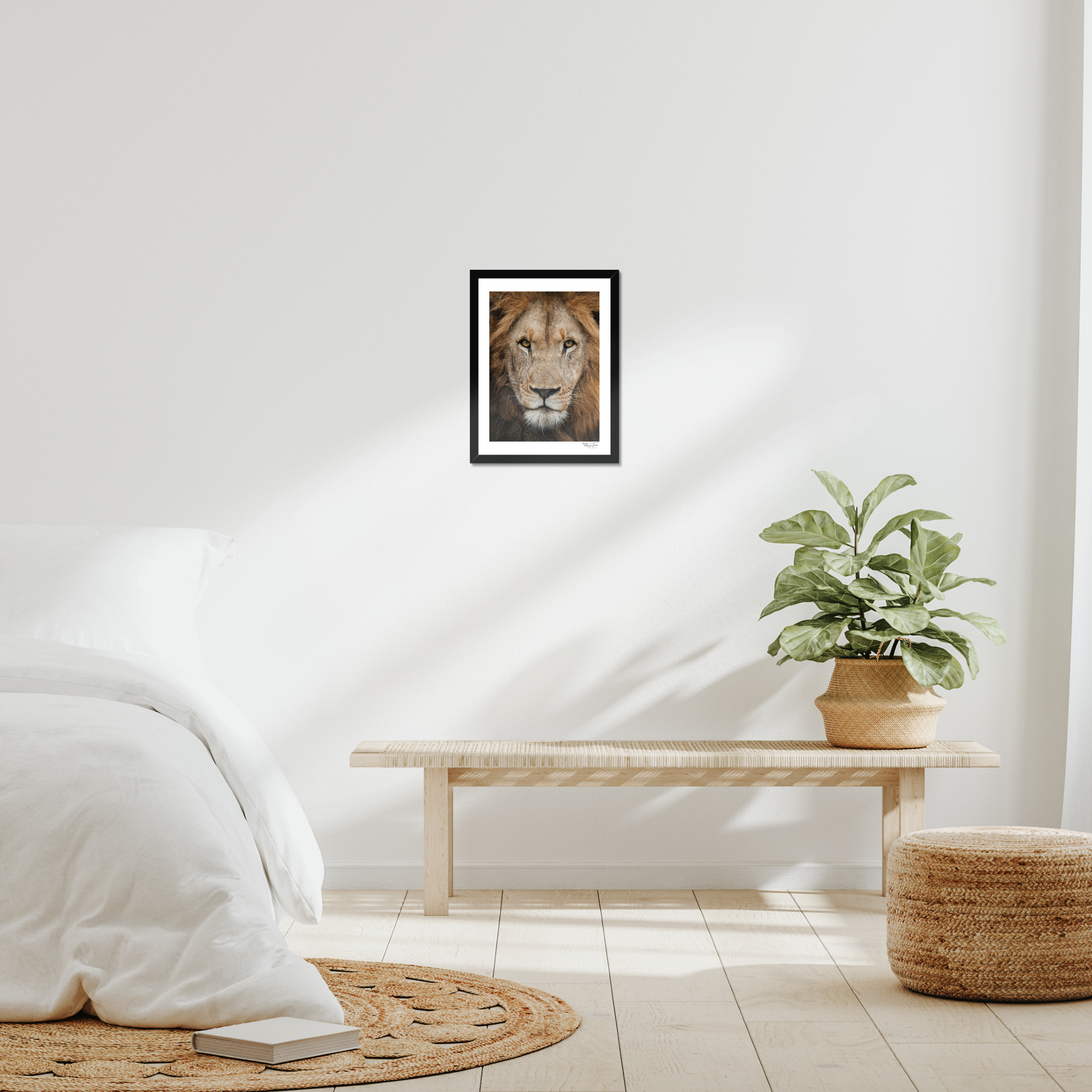 The King’s Gaze (White Border)