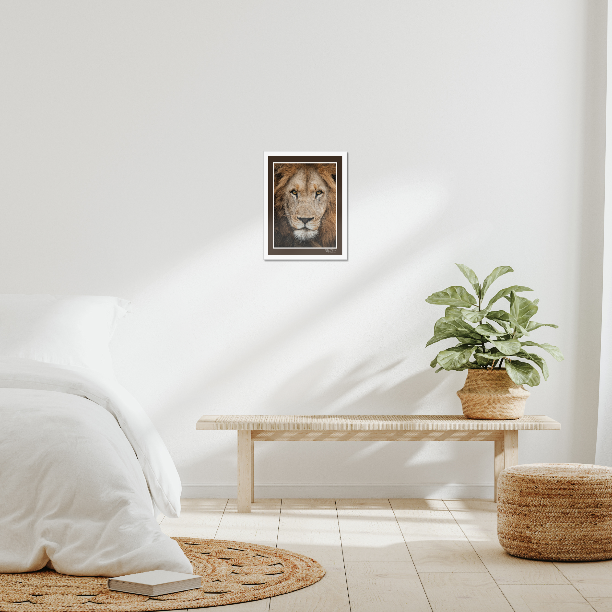 The King’s Gaze (Brown Border)