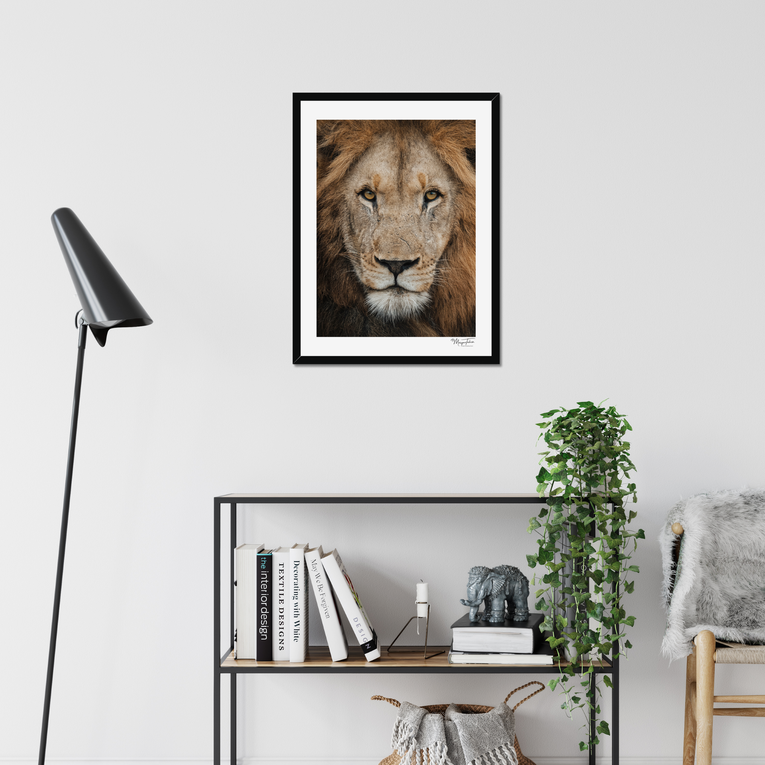 The King’s Gaze (White Border)