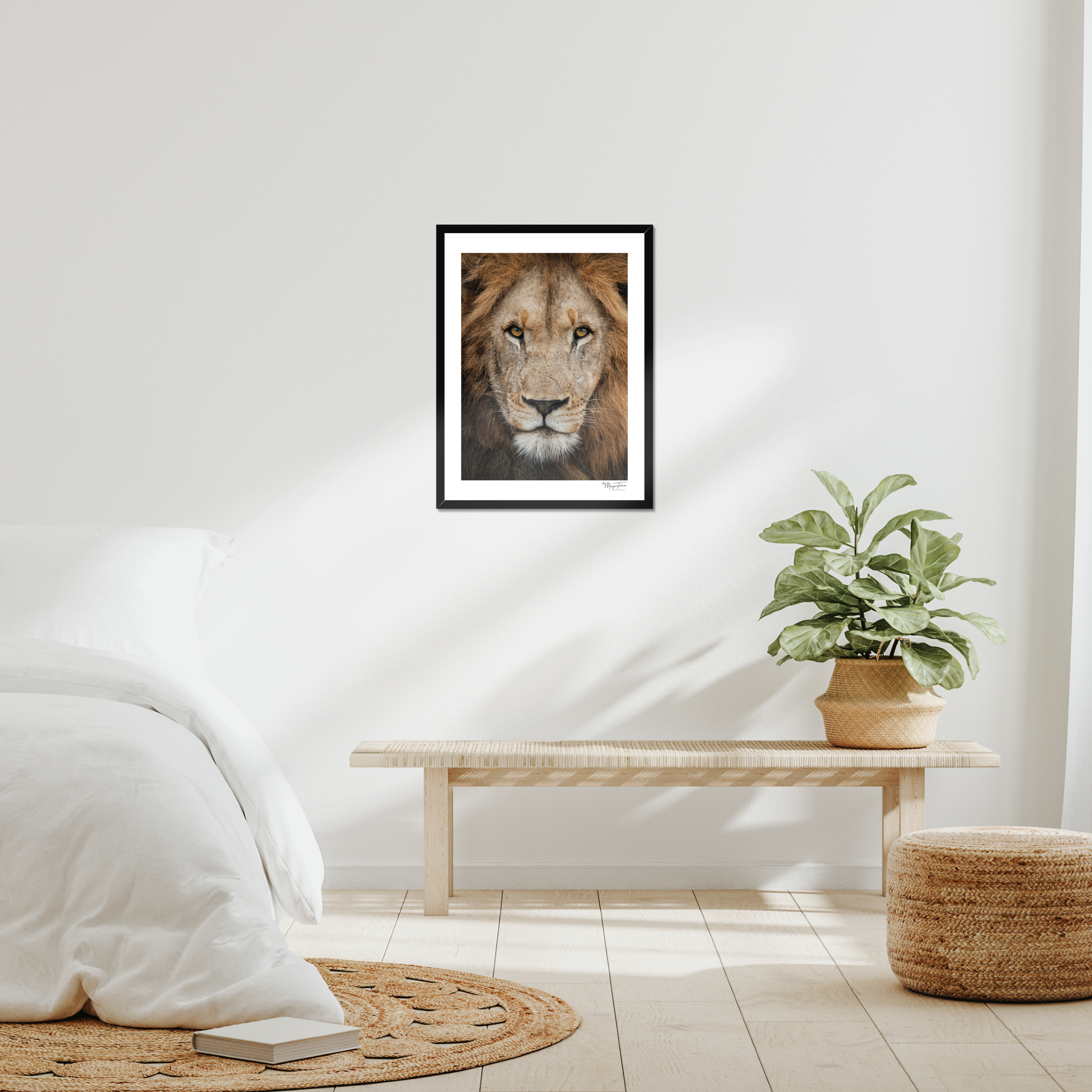 The King’s Gaze (White Border)