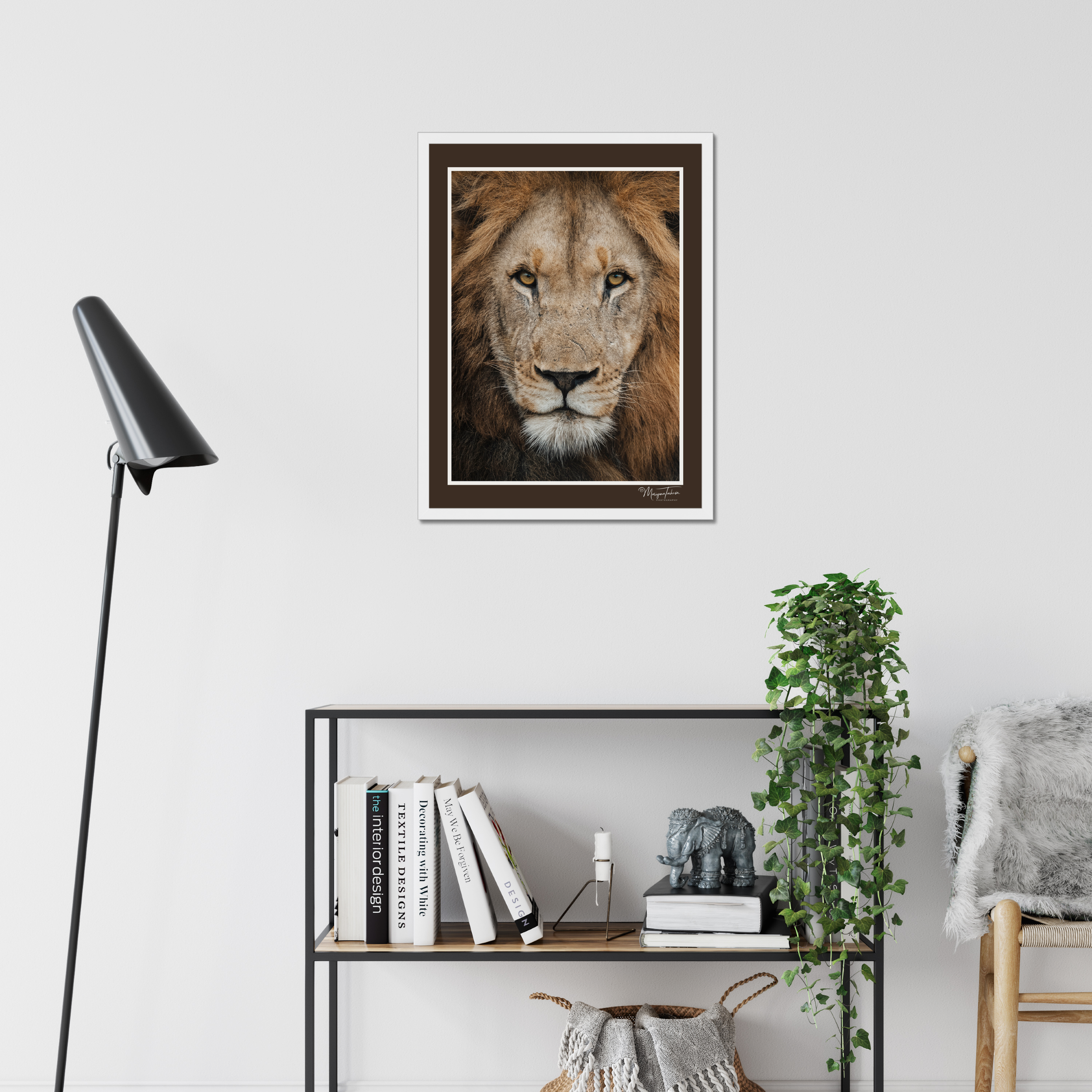 The King’s Gaze (Brown Border)