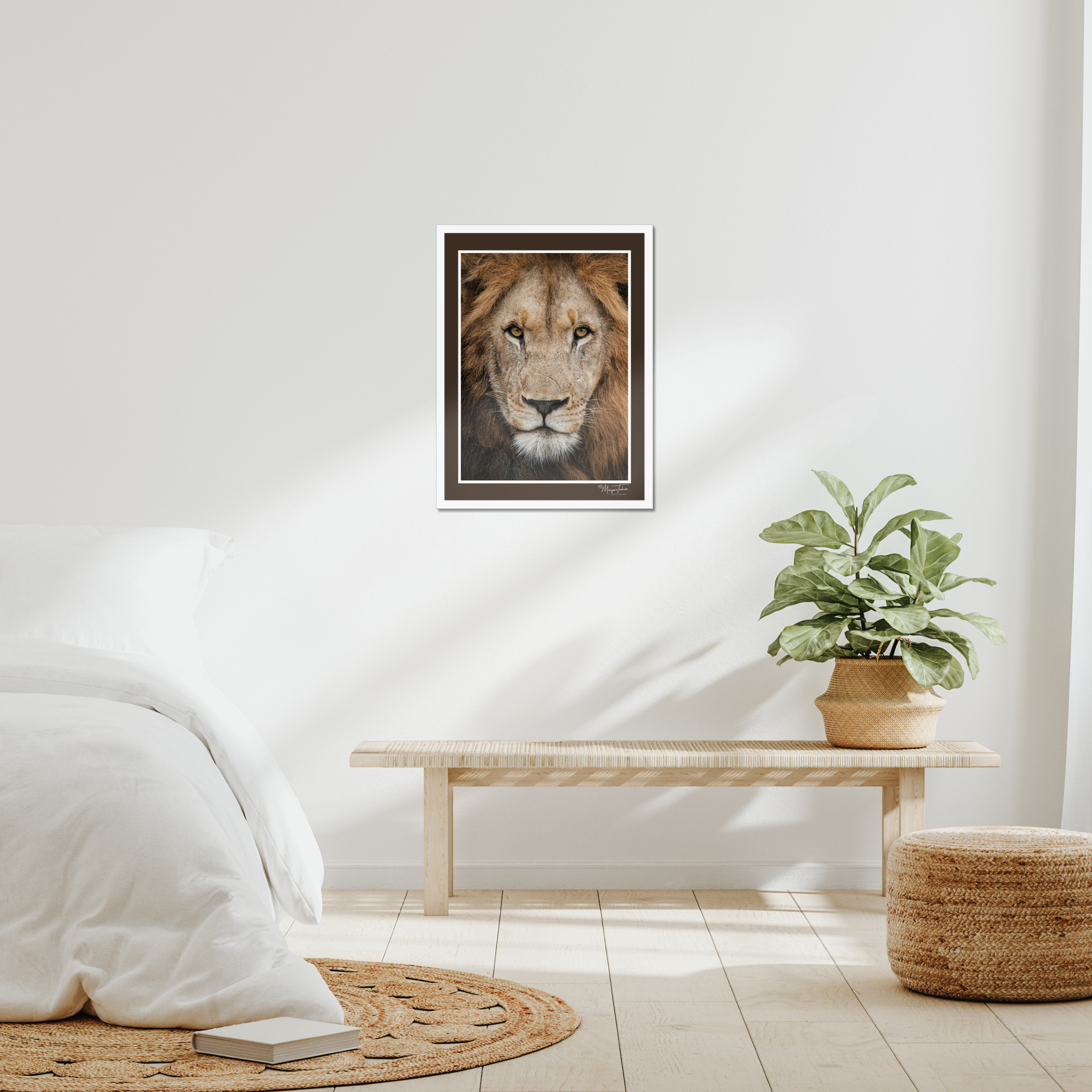 The King’s Gaze (Brown Border)