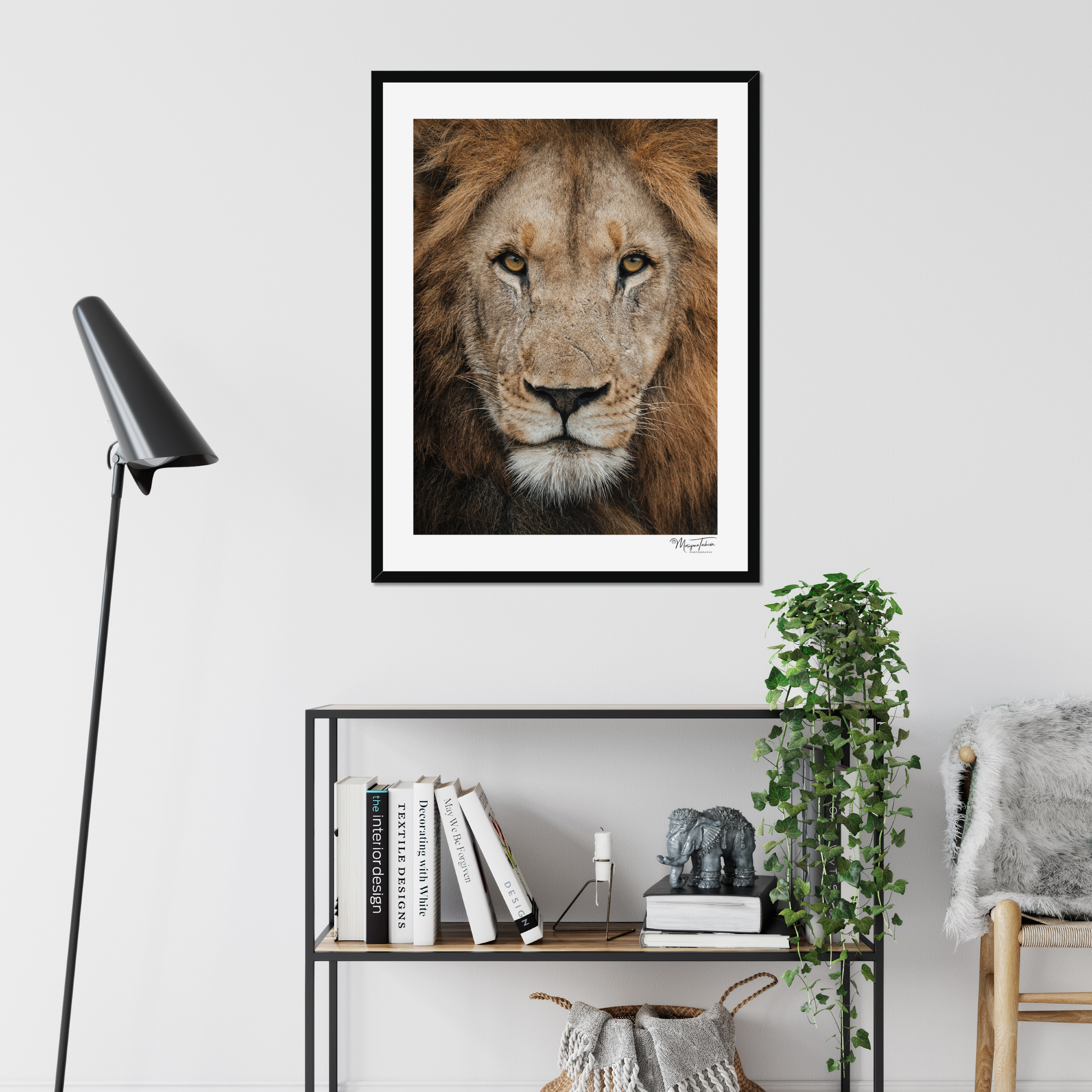 The King’s Gaze (White Border)