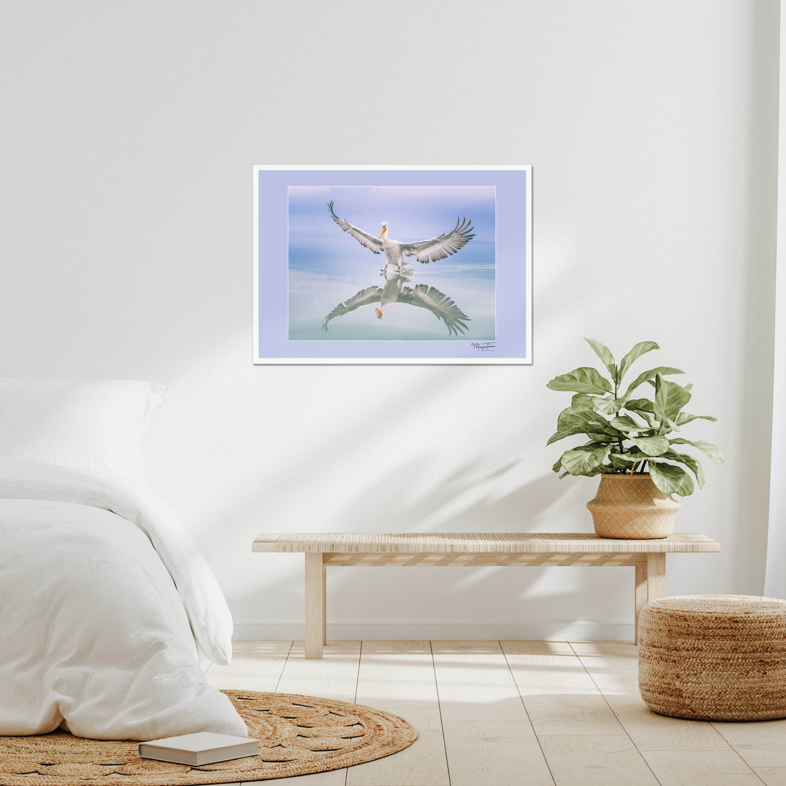 Wings Upon Water